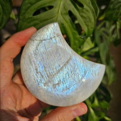 White Labradorite Crescent Moon on Stand #109C