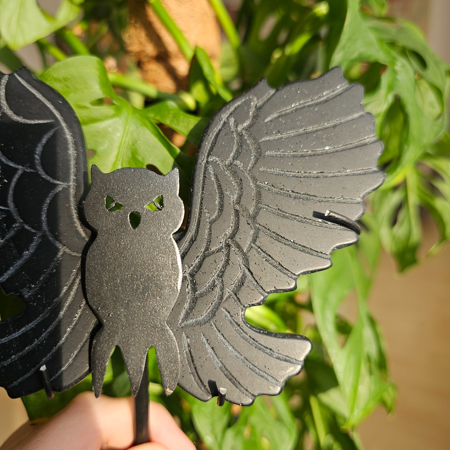 Obsidian Owl