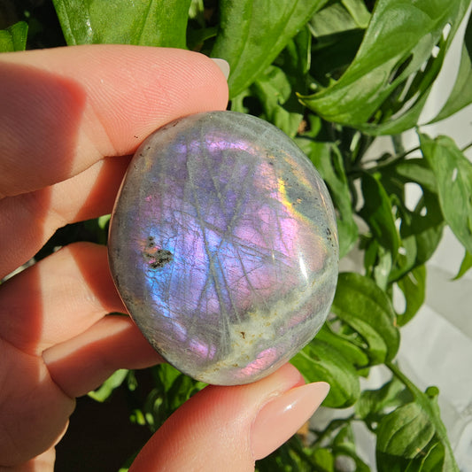 Labradorite Palmstone #8B