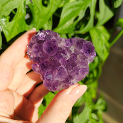 Amethyst Herz-Cluster #27M