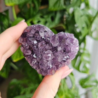 Amethyst Herz-Cluster #25E