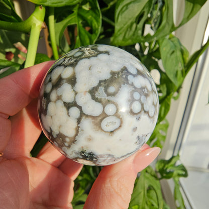 Ocean Jasper Sphere #69A