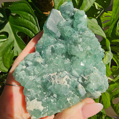 Green Fluorite Specimen #28F