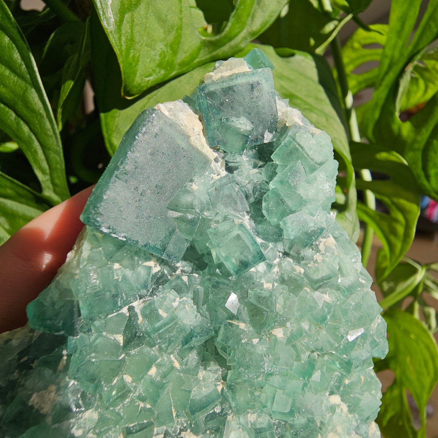 Green Fluorite Specimen #28F