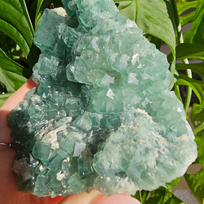 Green Fluorite Specimen #28F