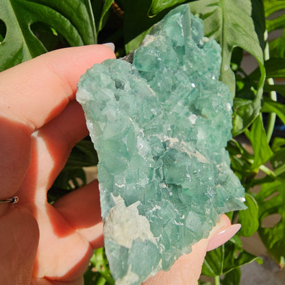 Green Fluorite Specimen #28F