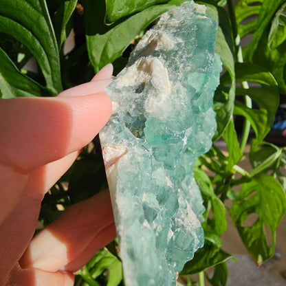 Green Fluorite Specimen #28F