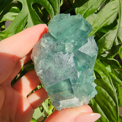 Green Fluorite Specimen #18J