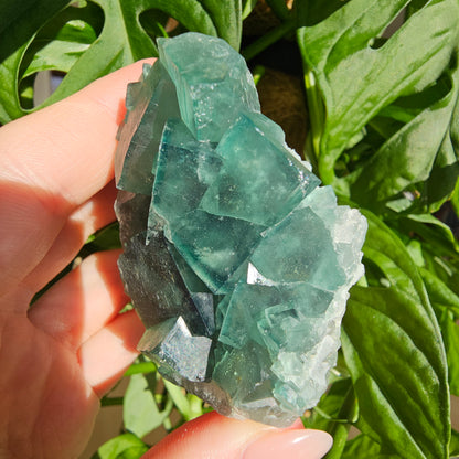 Green Fluorite Specimen #18J