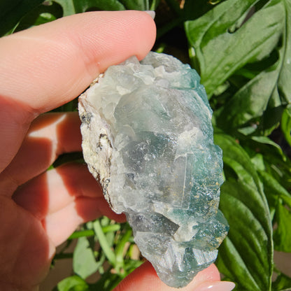 Green Fluorite Specimen #18J