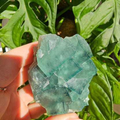 Green Fluorite Specimen #18J