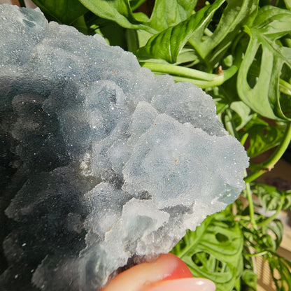 Sugar Fluorite Specimen #49H