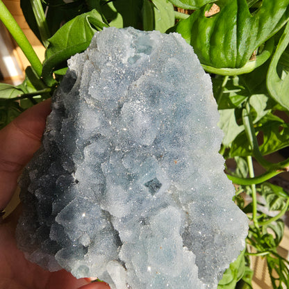 Sugar Fluorite Specimen #49H