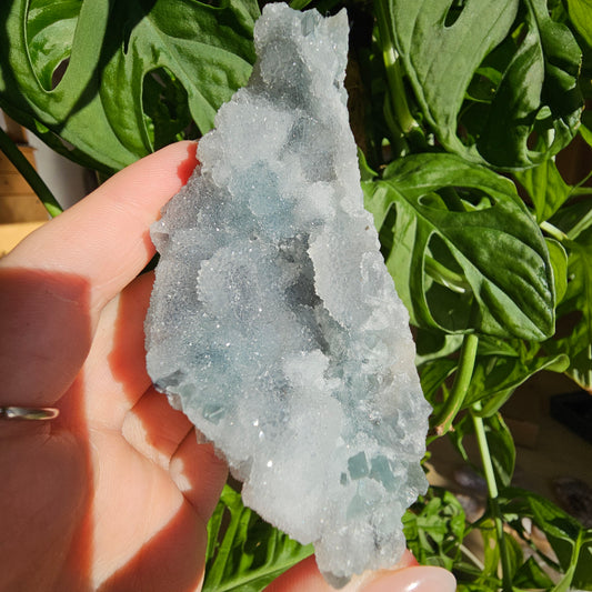 Sugar Fluorite Specimen #41F