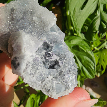 Sugar Fluorite Specimen #38D