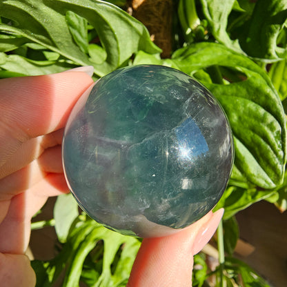 Green/Purple Fluorite Sphere #25D