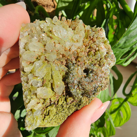 Epidote with Quartz Specimen #18F