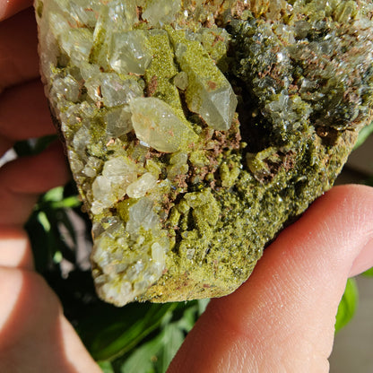 Epidote with Quartz Specimen #18F