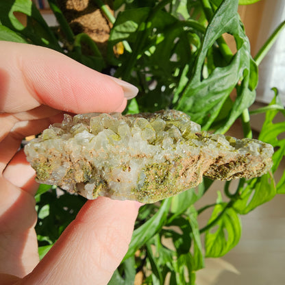 Epidote with Quartz Specimen #18F