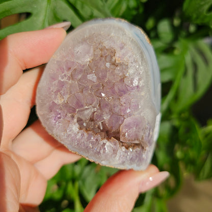 Amethyst with Agate Geode #16D