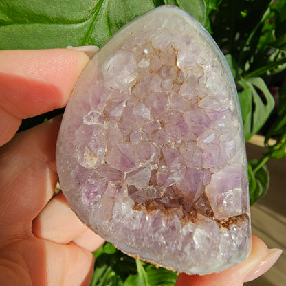 Amethyst with Agate Geode #16D