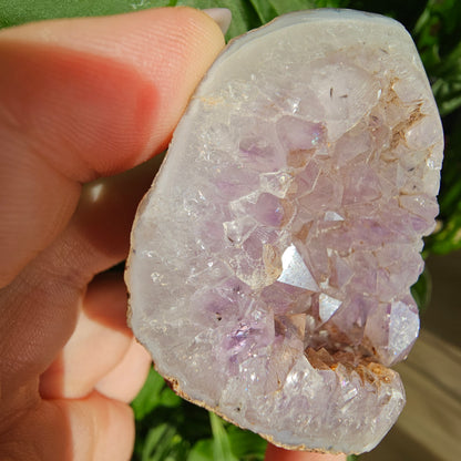 Amethyst with Agate Geode #16D