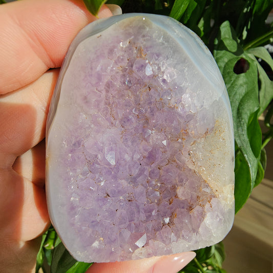 Amethyst mit Achat Geode #16C