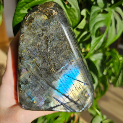 Labradorite Freeform #109LC