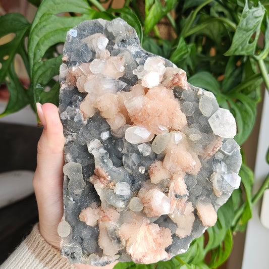 Apophyllite and Stilbite on Blue Chalcedony Statement Piece