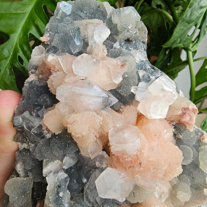 Apophyllite and Stilbite on Blue Chalcedony Statement Piece