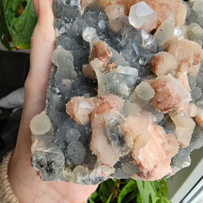 Apophyllite and Stilbite on Blue Chalcedony Statement Piece