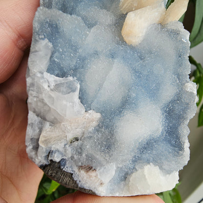 Apophyllit und Stilbit auf blauem Chalcedon #85A