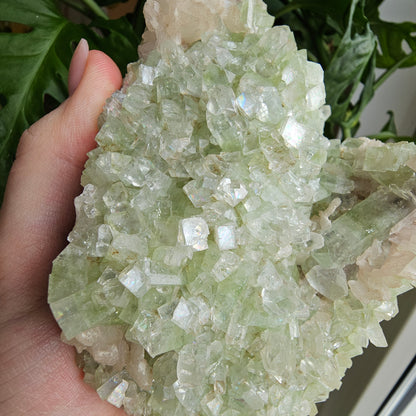 Green Apophyllite with Stilbite #219A