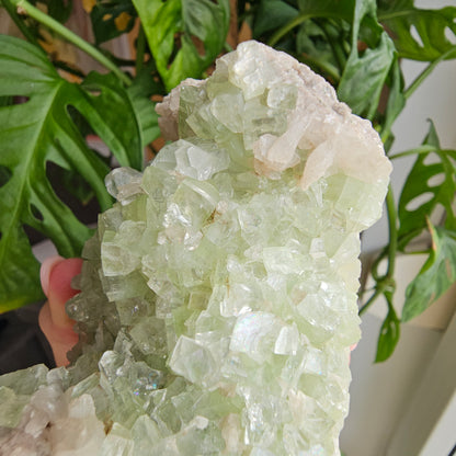 Green Apophyllite with Stilbite #219A