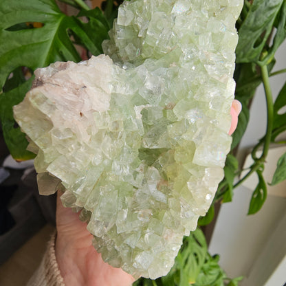 Green Apophyllite with Stilbite #219A