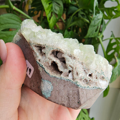 Green Apophyllite with Stilbite #219A