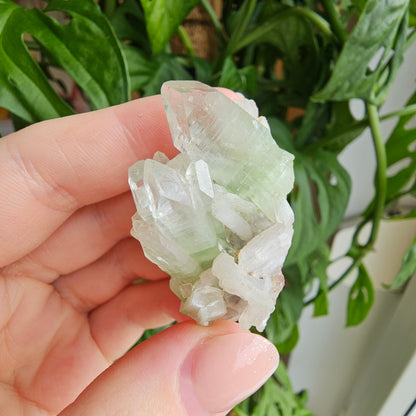 Green Apophyllite with Stilbite #10J