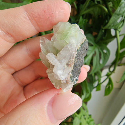 Green Apophyllite with Stilbite #10J