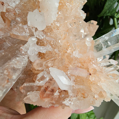 Pink Himalayan Quartz #199A Statement Piece