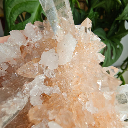 Pink Himalayan Quartz #199A Statement Piece