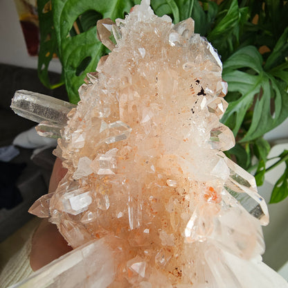 Pink Himalayan Quartz #199A Statement Piece