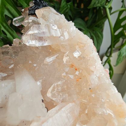 Pink Himalayan Quartz #199A Statement Piece