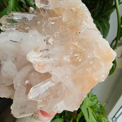 Pink Himalayan Quartz #199A Statement Piece