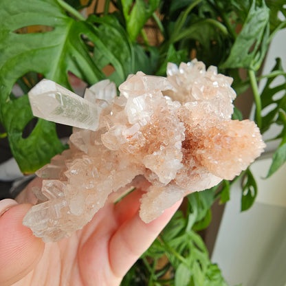 Pink Himalayan Quartz #49F