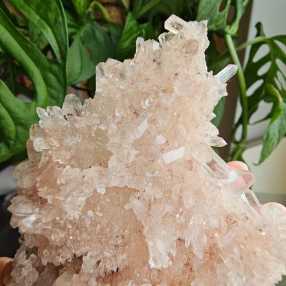 Pink Himalayan Quartz #49F