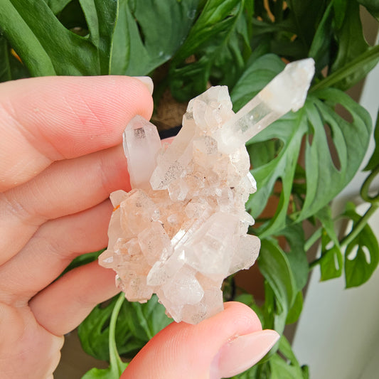 Pink Himalayan Quartz #12K