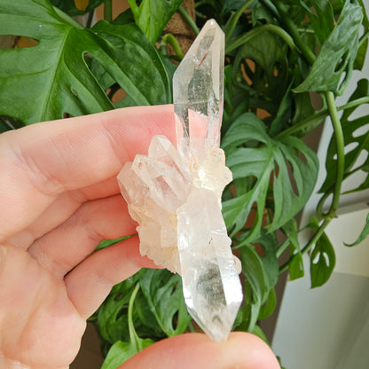 Pink Himalayan Quartz #12L