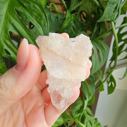 Pink Himalayan Quartz #12L