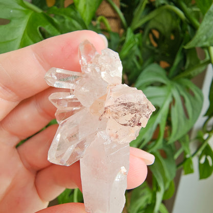 Pink Himalayan Quartz #8N