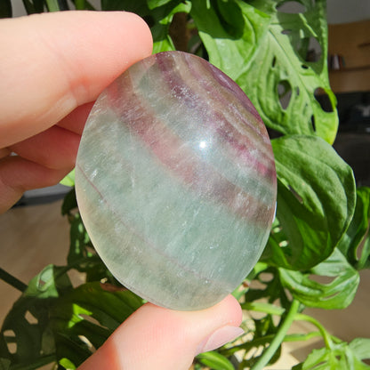 Fluorite Palmstone #18B